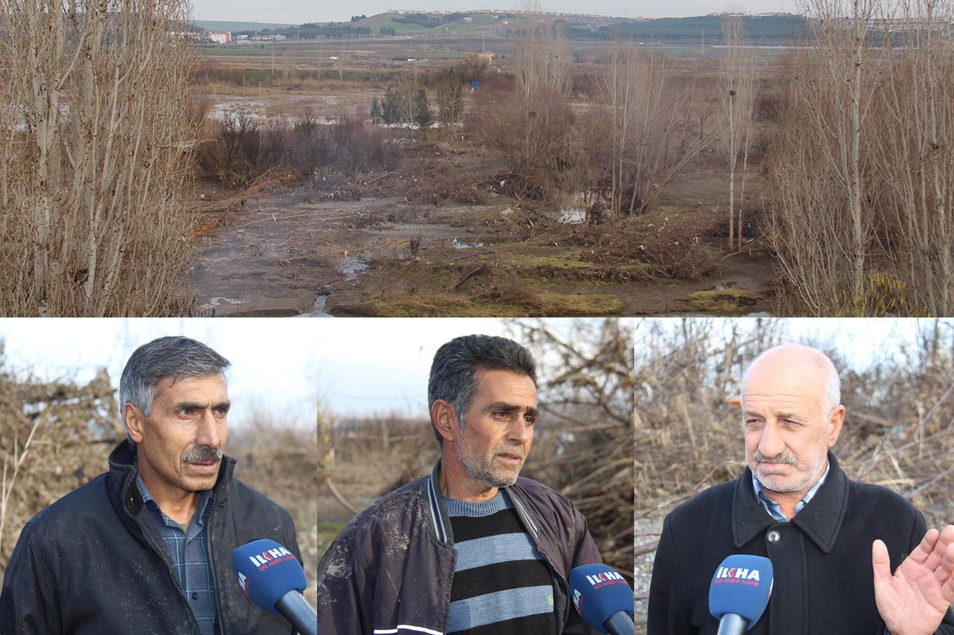 Dicle Nehri'nde binlerce meyve ağacı zarar gördü